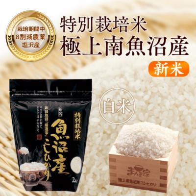ふるさと納税 南魚沼市 【8年産新米予約】特別栽培米「南魚沼産コシヒカリ」(栽培期間中農薬節減・化学肥料不使用)白米4kg