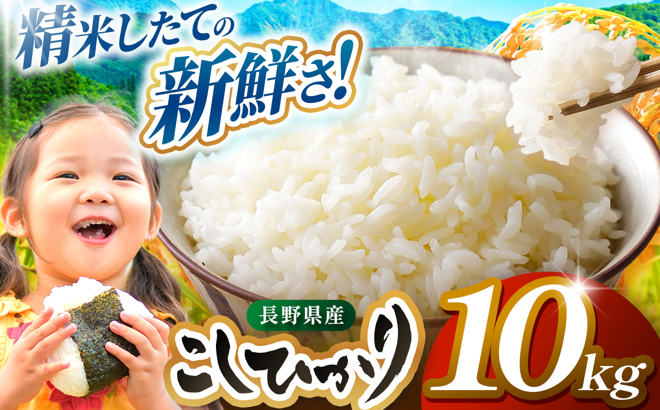 米 10kg  コシヒカリ 令和7年産 JA上伊那 コシヒカリ 今ずり米 5kg 2袋 長野 上伊那産 お米 長野県産 こしひかり 10キロ 白米 精米 信州産 特産 産地直送 おすすめ こめ コメ 