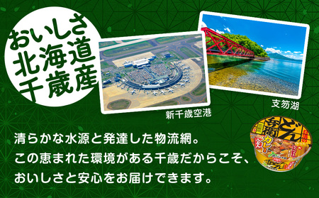 日清 北のどん兵衛 カレーうどん [北海道仕様]12個