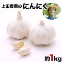 【ふるさと納税】『上田農園』のにんにく約1kg 熊本県玉名郡玉東町『上田農園』にんにく《7月上旬-9月中旬頃出荷》