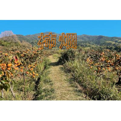 ふるさと納税 かつらぎ町 和歌山県産たねなし柿 約7.5kg 3Lまたは2Lサイズ・28個または32個入り |  | 01