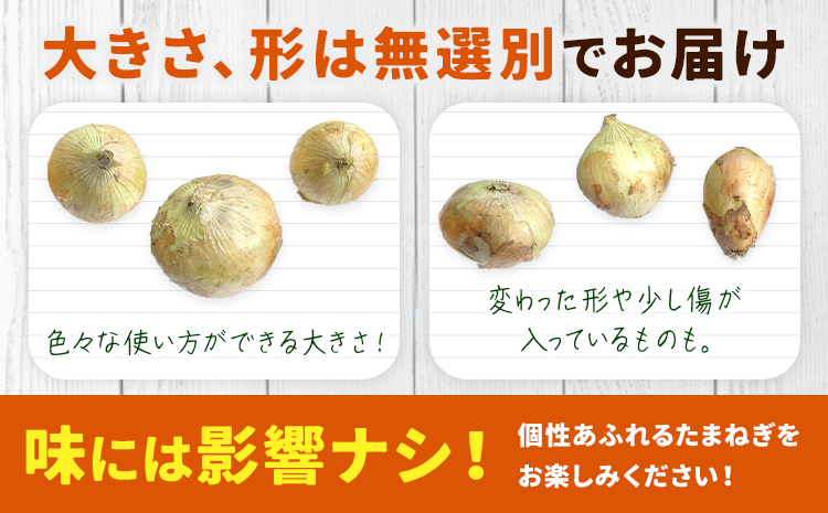 矢掛町産 訳あり 玉ねぎ 約10kg たまねぎ 大きさ不揃い 訳ありたまねぎ《5月末～7月中旬頃に出荷予定》 約 10kg 野菜 岡山県 矢掛町---ofn_ytn_e57_25_9000_10---