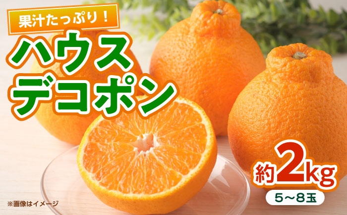 
                  ハウスデコポン　約2kg 【くまふる】 [ZBG081]
                