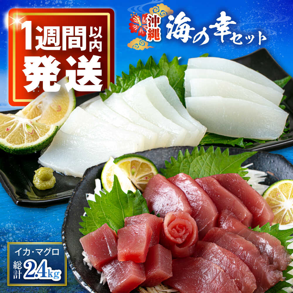 【ふるさと納税】海の幸セット (冷凍キハダマグロ1.5kg / セーイカ0.9kg) 沖縄市 / 沖縄市漁業協同組合 パヤオ直売店[BCDZ005]