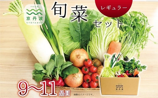 京丹波 旬菜セット レギュラー 9～11品目 野菜 詰め合わせ 京都 丹波 京丹波町産 産地直送 京野菜 減塩 レシピ ※北海道・沖縄・その他離島は配送不可 [012KK002]