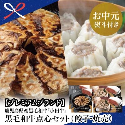 ふるさと納税 南さつま市 【お中元ギフト】鹿児島県産黒毛和牛「小田牛」 牛肉100%点心セット(餃子・焼売)