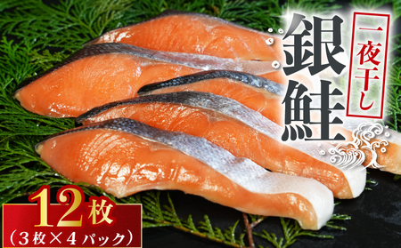 銀鮭 一夜干し 12枚 鮭