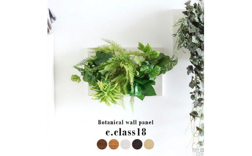 Botanical c.class 18　ブラウン