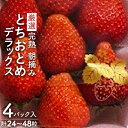 【ふるさと納税】【11月中旬より発送】鈴木ファームの★厳選★完熟★朝摘み★とちおとめデラックス　4パック入り【配送不可地域：離島、北海道、沖縄県、山口県、九州】【1259138】