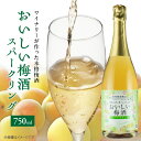 【ふるさと納税】おいしい梅酒 スパークリング 750ml 肉厚 香り 紀州南高梅 使用 白ワイン コク 深い 香料 酸味料 無添加 本格 梅酒 梅 酒 アルコール 国産 お取り寄せ 和歌山県 湯浅町 送料無料