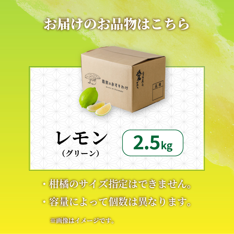【2026年9月下旬頃から順次発送】家庭用 グリーンレモン 約2.5kg 防腐剤 ワックス 不使用｜ 訳あり レモン 檸檬 完熟 柑橘 酸味 国産 愛媛県産 訳あり 新鮮 愛媛 松山