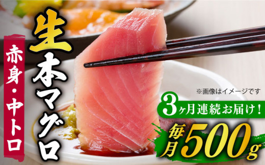 
【全3回定期便】【ながさき水産業大賞受賞の新鮮なマグロを冷蔵でお届け！！】五島列島産 養殖 生本かみマグロ 赤身 中トロ 計約500g マグロ まぐろ 鮪 刺身 ブロック 【カミティバリュー】 [RBP029]
