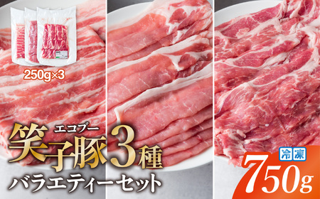 【お試し】豚肉 小分け 真空パック 冷凍 スライス肉 3種 バラエティーセット 750g (250g×3袋) 笑子豚 バラ ロース 肩ロース 高級 岩手県 金ケ崎町