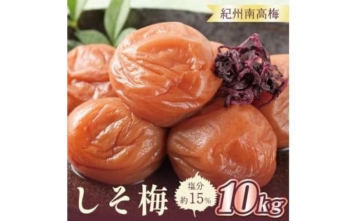 いなみの里梅園　しそ梅10kg　塩分約15％【和歌山産】紀州南高梅　印南町　
