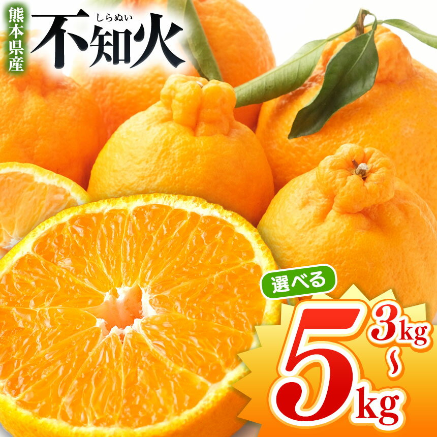 【ふるさと納税】 不知火 【 先行予約 】 選べる内容量 不知火 約 5kg or 3kg 池田農園 | デコポン しらぬい フルーツ 和製 果物 熊本県産 熊本県 熊本 くまもと 和水町 なごみまち なごみ 柑橘類 果物 フルーツ 柑橘