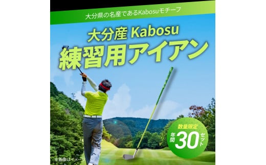 
【R14144】大分産 Kabosu スイング練習用アイアン
