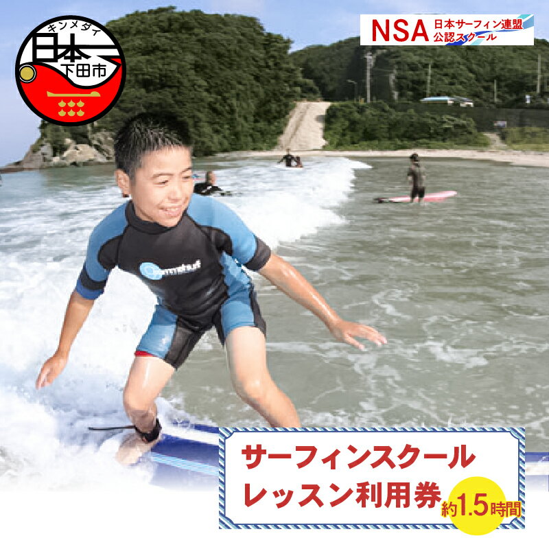 【ふるさと納税】 サーフィン スクール レッスン 1レッスン利用券 体験 アウトドア スポーツ 海 アクティビティ マリンスポーツ レジャー 白浜海岸 伊豆 下田 白浜マリーナ