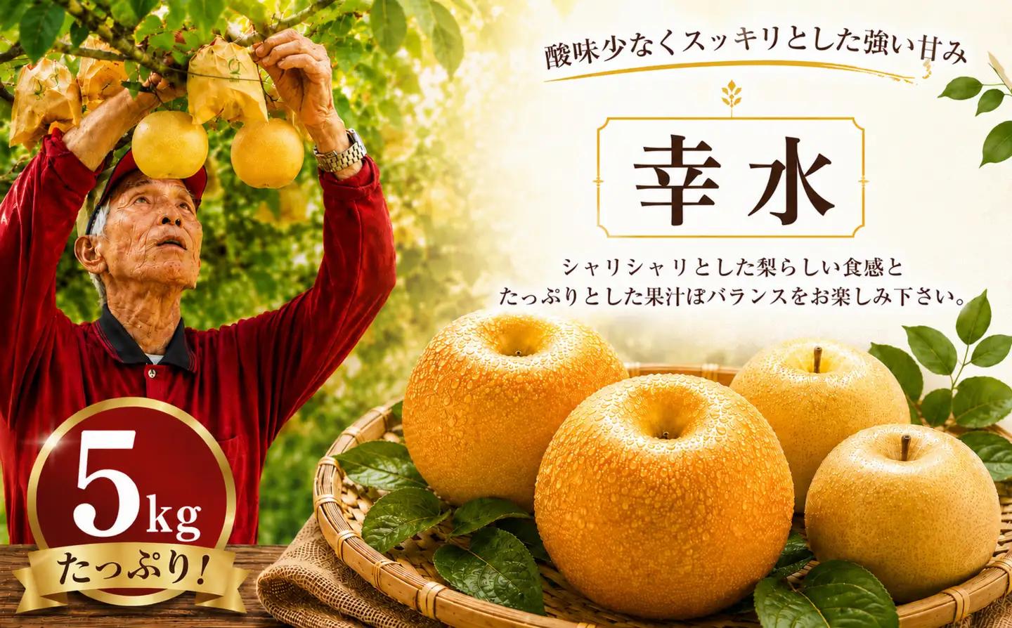 【2026年8月初旬頃発送】 梨 5kg 幸水 梨 IDG