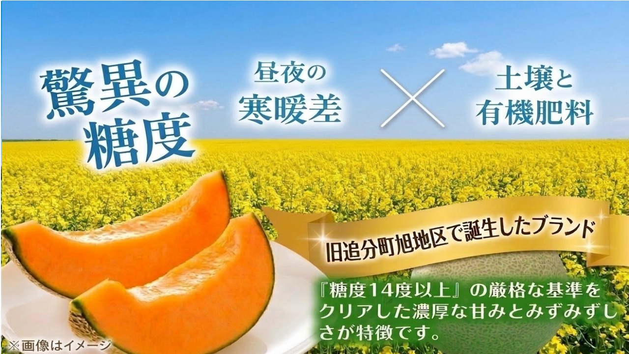 <数量・期間限定> メロン 糖度16度以上 2.0kg以上 ×2玉 4kg おいわけメロン 赤肉メロン スイーツ デザート 果物 国産 北海道 安平町 プレゼント 贈答 ギフト