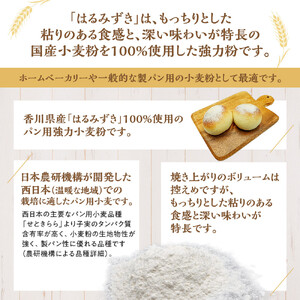 パン用 強力小麦粉「はるみずき」12kg | 小麦粉