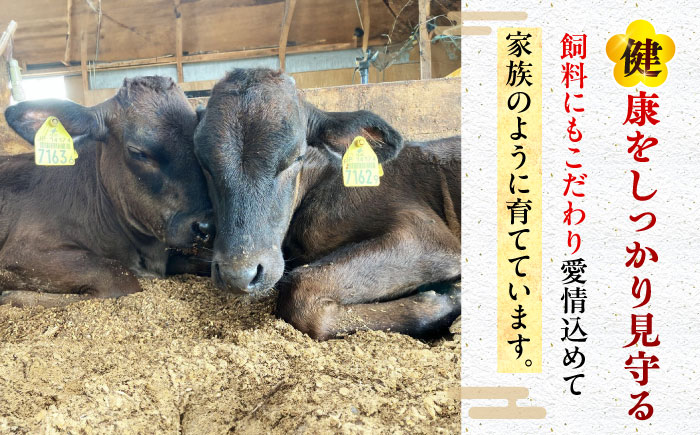 【全6回定期便】五島列島産 黒毛和牛 スジ 1kg 五島市/山口Farm [PGJ027]
