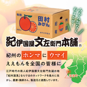 V7299_【2024年 先行予約】田村みかん / 5kg秀品【大玉サイズ】/ 紀州和歌山有田郡湯浅町田村地区産 / 最高級プレミアムブランドの田村ミカン 
/ 紀伊国屋文左衛門本舗(お届け日指定不可
