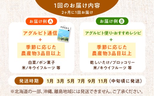 野菜 【全6回定期便】 新鮮 野菜 ！ 旬の農産物定期便 旬の野菜 詰め合わせ セット 朝採れ 採れたて とれたて 美味しい おいしい 料理 食材 サラダ 煮物 炒め物 愛媛県大洲市/大洲市青年農業者協議会 [AGBL001] 定期便 野菜 野菜セット旬 やさい やさいセット 新鮮 新鮮野菜 愛媛県産 大洲市産 ヘルシー 献立 食卓 産地直送 おすすめ 人気 お取り寄せ 送料無料 贈答 ギフト