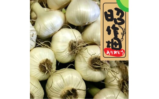 106003　新にんにく　2㎏