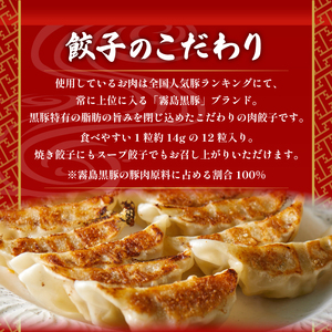 霧島黒豚餃子 120個 冷凍 小分け 餃子 IR 
