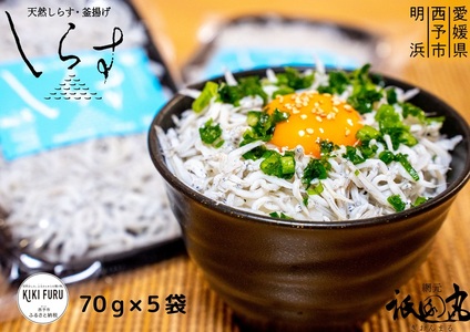 【網元直送　無添加】 釜揚げしらす　70g×５袋 【箱入】