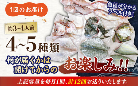 【全12回定期便】【平戸市場直送】旬の獲れたて鮮魚（冷凍）＜4-5種類＞ 平戸市 / ひらど新鮮市場[KAB230]
