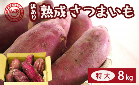 【訳あり】 【2027年1月発送】 舞鶴産 熟成さつまいも 8kg （紅はるか） 特大