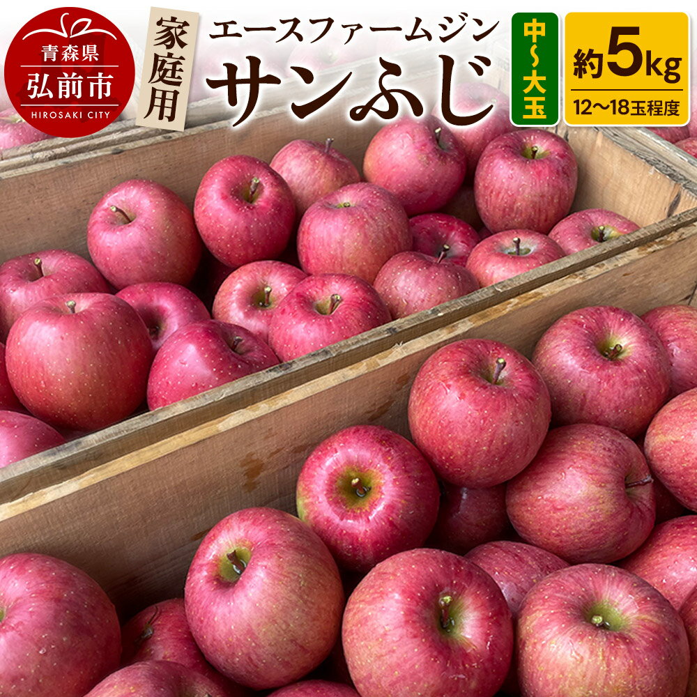 【ふるさと納税】りんご【先行受付】【数量限定】家庭用 サンふじ 約5kg（中玉〜大玉12〜18玉程度）