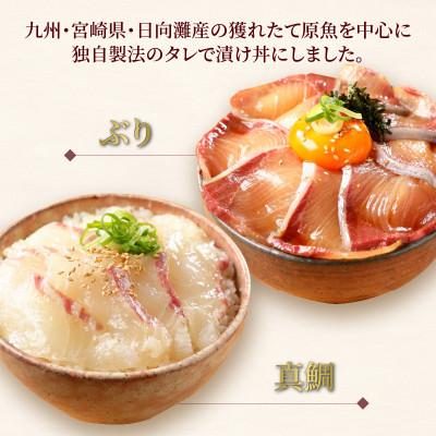ふるさと納税 延岡市 延岡産活〆ブリとマダイの海鮮丼/2種食べ比べセット(8パック入り) |  | 01