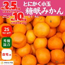 【ふるさと納税】熟成 みかん とにかく 小玉 箱込2.5kg～10kg 2Sサイズ以下 秀品 優品 混合 有田みかん 和歌山産 産地直送 家庭用 【みかんの会】 | 和歌山 フルーツ 果物 くだもの かんきつ 柑橘 柑橘類 みかんの会 送料込み 送料無料