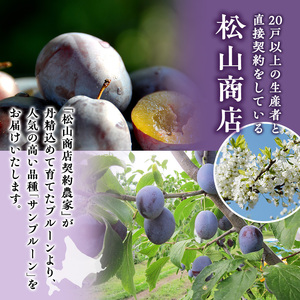 プルーン サンプルーン 厳選品 北海道産 プルーン【800g】