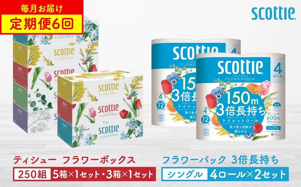 
            【定期便6回】【毎月お届け】【スコッティ】 ティシュー フラワーボックス 250組（5箱パック×1セット・3箱パック×1セット）＋フラワーパック 3倍長持ち（4ロール(シングル)パック×2セット）ティッシュ トイレットペーパー 日用品 ストック
          