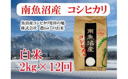 
                  【令和7年産】【定期便 南魚沼産】コシヒカリ 白米2kg×12回【定期便 銘柄米 ブランド米 精米 こしひかり コシヒカリ 魚沼産 新潟米 産地直送 お米 米 こめ コメ ご飯 御飯 ごはん】
                