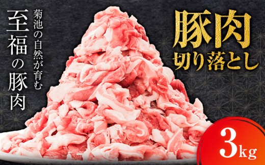 豚肉 切り落とし 3kg 焼肉いしい 株式会社石井牧場《30日以内に出荷予定(土日祝除く)》 熊本県 菊池市 肉 豚肉 焼肉 切り落とし 生姜焼き 肉じゃが