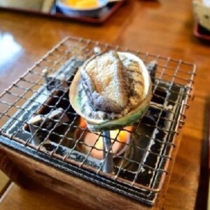 【2026年11月～発送】アワビ 200g相当×2個【冷凍】【期間限定】【35】｜三陸 岩手県 大槌町 あわび 人気 鮑 刺身 いわて iwate 2026 初栄丸