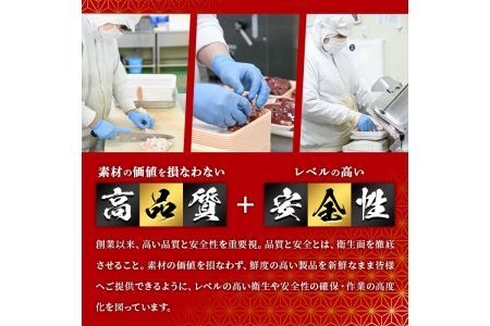 博多和牛入り！お肉屋さんの手ごね特上ハンバーグ(140g×10個・計1.4kg)冷凍ハンバーグ 牛肉 黒毛和牛 国産 冷凍＜離島配送不可＞【ksg0406】【MEATPLUS】