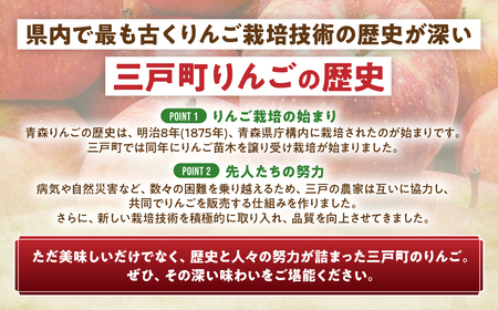 青森県産りんご サンふじ 約3kg 12月中旬～ りんご