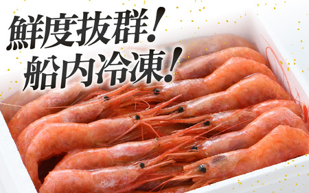 【年内配送】大好評！天然 越前甘エビ（卵あり）大サイズ計1.5kg（500g × 3箱）（合計約90尾入り）解凍方法説明書付き 船内凍結 酸化防止剤不使用！ 甘エビ本来の味をお楽しみください【えび エ