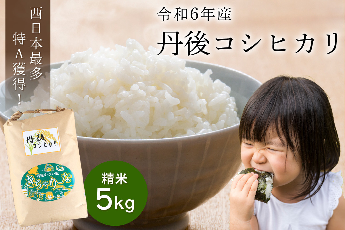 
直売所直送「令和6年産　京丹後市産　コシヒカリ」　精米5kg　こめ ふるさと納税 コシヒカリ 精米 ふるさと納税 米 精米 白米 2024 年 京都産 送料無料 生産者応援 農家応援 送料無料　JA00059
