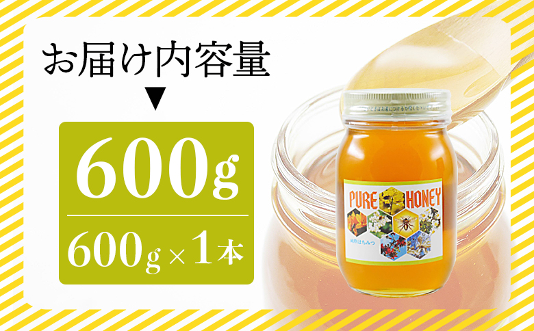 【数量限定】和田養蜂場 百花はちみつ(600g)１本 - 蜂蜜 ハチミツ ハニー 朝食 トースト おやつ デザート スイーツ アレンジ ティータイム 送料無料 高知県 香南市 wh-0003