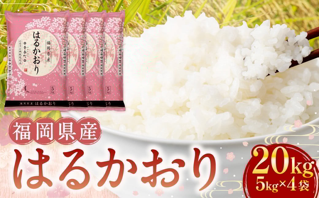 【令和7年産】はるかおり 精米 20kg 【2025年10月上旬発送開始】 ／ ふるさと納税限定 ふるさと納税限定品 お米 米 白米 食品 ご飯 飯 九州 福岡県 香春町