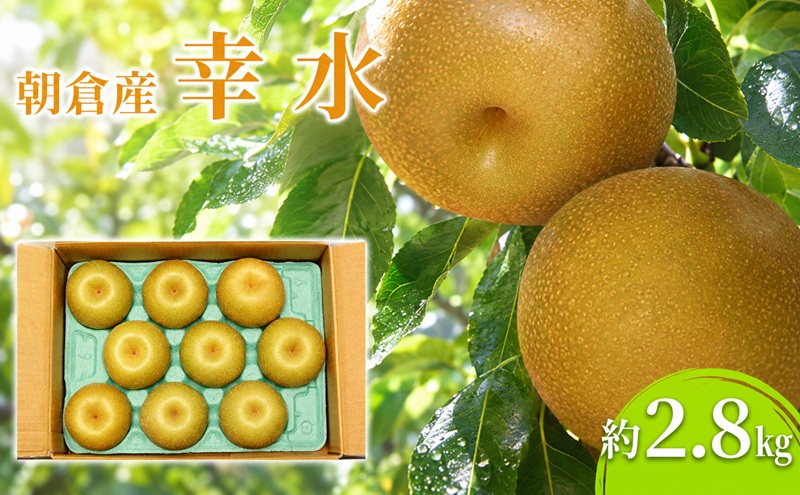 梨 幸水 2.8kg 2027年 発送 なし フルーツ 果物 くだもの デザート 筑前あさくら農協 配送不可 離島