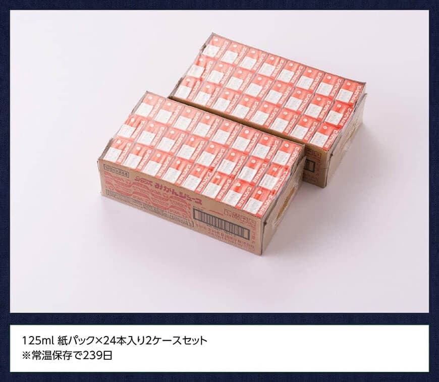 サンAみかんジュース100%　125ml紙パック×24本×2ケース 【 ふるさと納税 飲料 ジュース みかん ミカン 温州みかん 紙パック 川南町 国内産 九州 宮崎県 送料無料 】 [C03026]