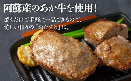阿蘇産あか牛をふんだんに使った、食卓のおたすけミートローフ 300g 3個（計900g）熊本県 阿蘇市