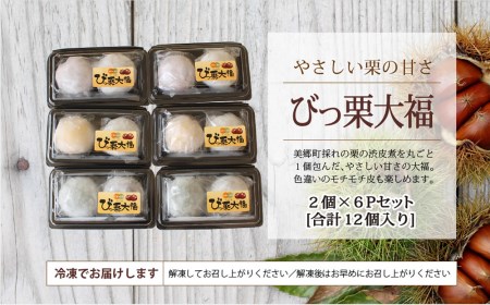 栗 和栗 国産 まるごと 栗 大福 2個入り×6パック 栗 菓子 詰め合わせ 栗づくし 栗 和菓子 スイーツ 宮崎県産 美郷産 栗 冷凍 送料無料 手作り お菓子 栗 おやつ 渋皮煮